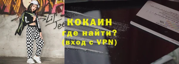 стаф Нея