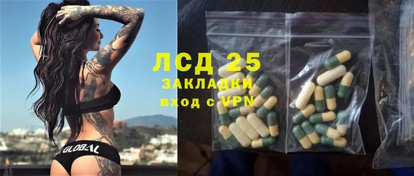 стаф Нея
