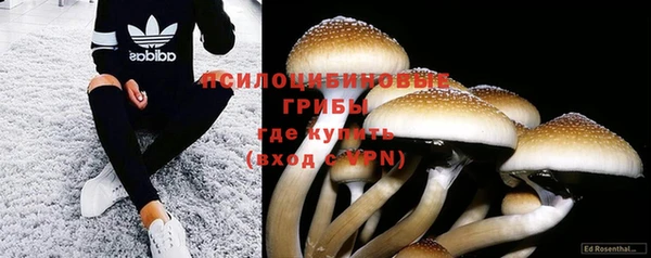 винт Нефтегорск