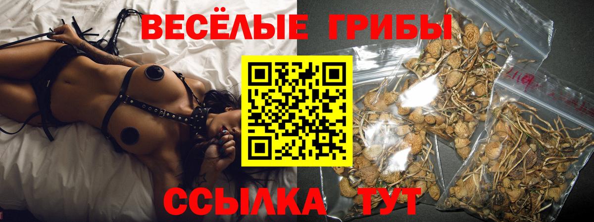 Псилоцибиновые грибы мицелий Шумерля