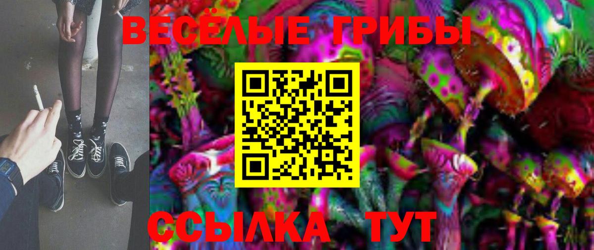 Шумерля  Псилоцибиновые грибы Psilocybine cubensis  Вход с VPN 